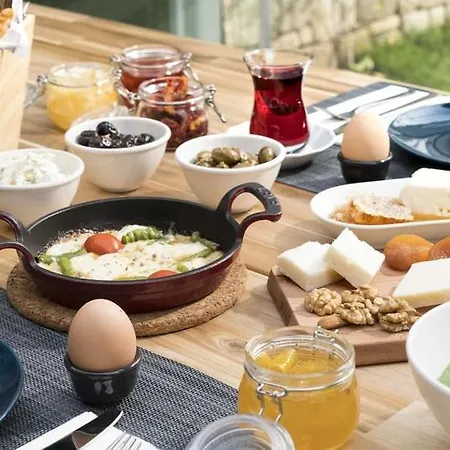 فندق Safi Hotel